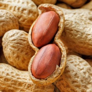 Groundnuts/peanuts